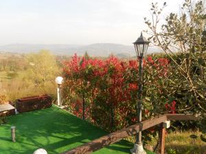 Zahrada ubytování B&B La Quercia