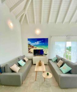 - un salon avec un canapé et une télévision dans l'établissement V5 Between sky and sea, Caribbean magical view, à Oyster Pond