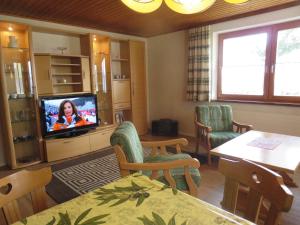 Μια τηλεόραση ή/και κέντρο ψυχαγωγίας στο Landhaus Dickhardt