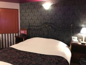 豊中市にあるホテルフェアリーテール(大人専用)のベッドルーム1室(大型ベッド1台、白い毛布付)