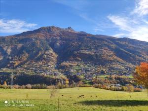 ein grünes Feld mit einem Berg im Hintergrund in der Unterkunft Appartamento con vista chez Mary in Roisan