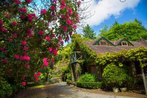 Arnica Views Summit Retreat في ماونت داندينونج: منزل أمامه زهور وردية