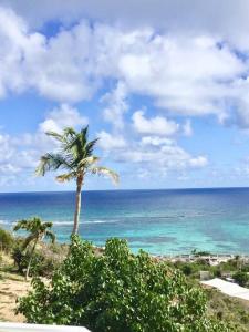 Gambar di galeri bagi V1 Oyster Pond Dream Panorama di Oyster Pond +37 gambar