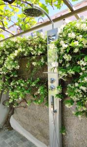 a greenhouse filled with plants and a mirror at La Primavera in Anacapri