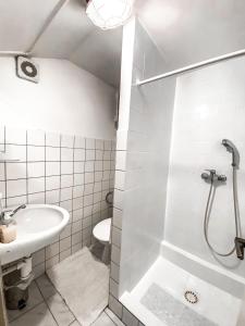 リトムニェジツェにあるVinárna Vikárkaのバスルーム(シャワー、洗面台、トイレ付)