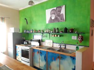 a kitchen with a green wall with a stove and a sink at Elkes Guesthouse in Nieu-Bethesda