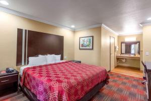 Postel nebo postele na pokoji v ubytování Econo Lodge Inn & Suites Escondido Downtown