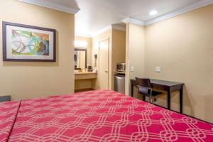 Postel nebo postele na pokoji v ubytování Econo Lodge Inn & Suites Escondido Downtown