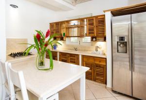 a kitchen with a refrigerator, sink, and dishwasher at Albachiara Hotel - Las Terrenas in Las Terrenas
