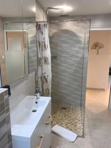 a bathroom with a shower, sink, and tub at L'ambassadeur - Colmar centre in Colmar
