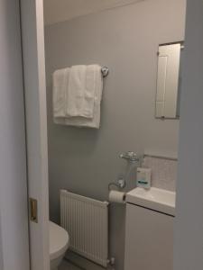 een badkamer met een wastafel, een toilet en handdoeken bij Cosy stylish 1-Bed Apartment in South Armagh in Cullyhanna