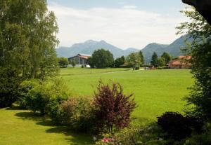 a field of green grass with mountains in the background at Ferienwohnung Daiber in Bernau am Chiemsee