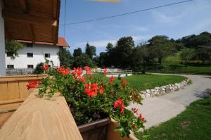 a wooden fence with red flowers in a yard at Stöttnerhof Urlaub auf dem Bauernhof in Bernau am Chiemsee