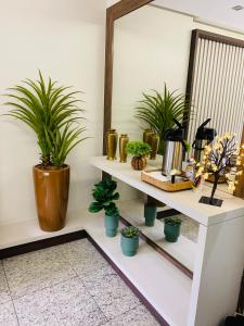 a room with shelves with potted plants and a mirror at Hotel Golden JK in Muriaé