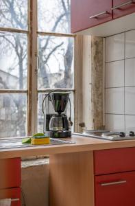a kitchen with a coffee maker on a counter next to a window at 3 Zimmer Wohnung für max. 5 Personen in Alzey