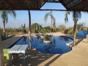 uma piscina com um banco e palmeiras em Casitas El Salitral by Rotamundos em El Pescadero