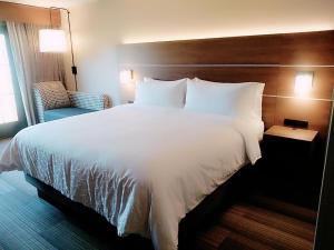 Postel nebo postele na pokoji v ubytování Holiday Inn Express Durango Downtown- Animas River