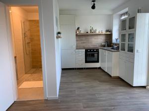 Kuchyň nebo kuchyňský kout v ubytování Residence Sarka