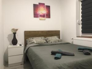 מיטה או מיטות בחדר ב-Zen Apartmani