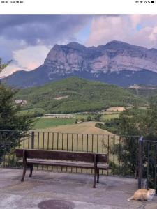 Preciosas Vistas a La Montaña, Luminoso y Acogedor في El Pueyo de Araguás: كلب يستلقي بجانب كرسي امام جبل