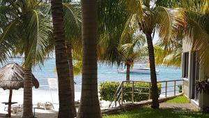 una casa con palmeras y vistas a la playa en Casita del Mar en Cancún