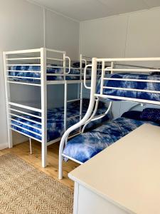 Emu Bay的住宿－Salty Dog，客房设有三张双层床和一张桌子。