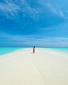 a person walking on a beach in the ocean at Veli Beach Inn in Mathiveri