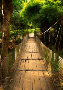a wooden bridge with a rope fence and trees at Commune18 in Chikmagalūr