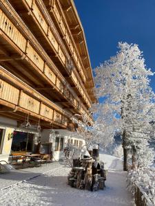 Un árbol cubierto de nieve frente a un edificio en Hotel Seelos, en Seefeld in Tirol