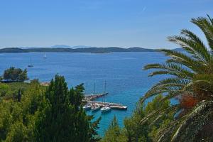 Fotografie z fotogalerie ubytování Apartments Dinka Miličić v destinaci Hvar