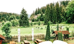 een groep picknicktafels in een veld met bomen bij Blumenhof Bucovina in Voronet