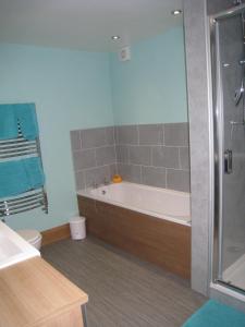 a bathroom with a bath tub and a toilet at Bryn Derw in Talsarnau