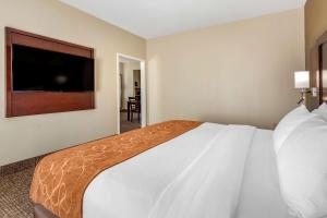 Foto dalla galleria di Comfort Suites Auburn near I-69 ad Auburn