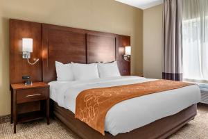 Foto dalla galleria di Comfort Suites Auburn near I-69 ad Auburn