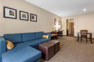 Foto dalla galleria di Comfort Suites Auburn near I-69 ad Auburn Altre 21 foto