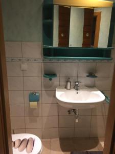 La salle de bains est pourvue d'un lavabo, de toilettes et d'un miroir. dans l'établissement Haus Bergblick, à Luftkurort Lückendorf