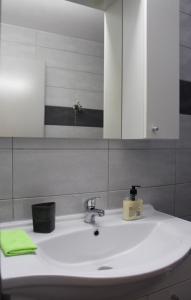 a bathroom sink with a mirror and a green towel at Filipovic Apartmani in Medulin