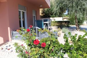 a garden with red roses in front of a house at Filipovic Apartmani in Medulin