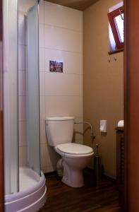 ein Bad mit einem WC und einer Dusche in der Unterkunft Bora Bora na Slnečných jazerách in Senec