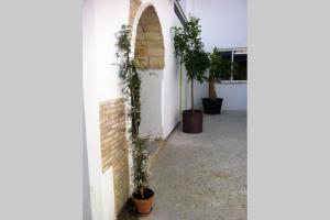 Zahrada ubytování Casa Florinda #7