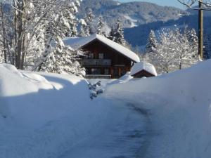 a house covered in snow with a road leading to it at Haus am Weißenbach in Bad Hindelang