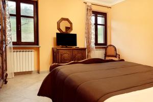 1 dormitorio con 1 cama, TV y ventanas en 'L Piasi en Cortanze