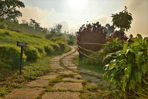a cobblestone road in the middle of a field at Heritage Resort Coorg in Madikeri