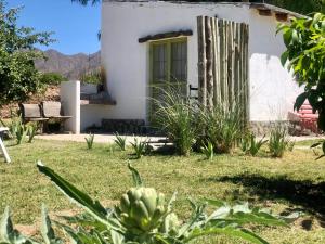 una pequeña casa blanca con un cactus en el patio en Casa San José en Cachí
