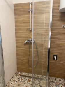 a shower with a glass door in a bathroom at FoRest Chalet in Zalesina