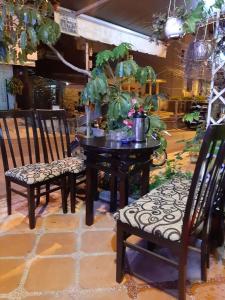 uma mesa e duas cadeiras com plantas em Hostel Khanh Hương 2 em Da Lat