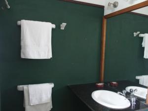 a green bathroom with a sink and a mirror at Hotel Buena Vista Se reserva solo con seña in San Gregorio de Polanco