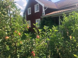 Aed väljaspool majutusasutust Musteriet i Djursdala