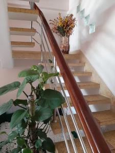 a plant is sitting next to a staircase at Hostel Khanh Hương 2 in Da Lat