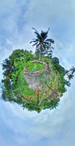 an island with a palm tree on top of it at Pousada Camping Porto Grande in Meaípe